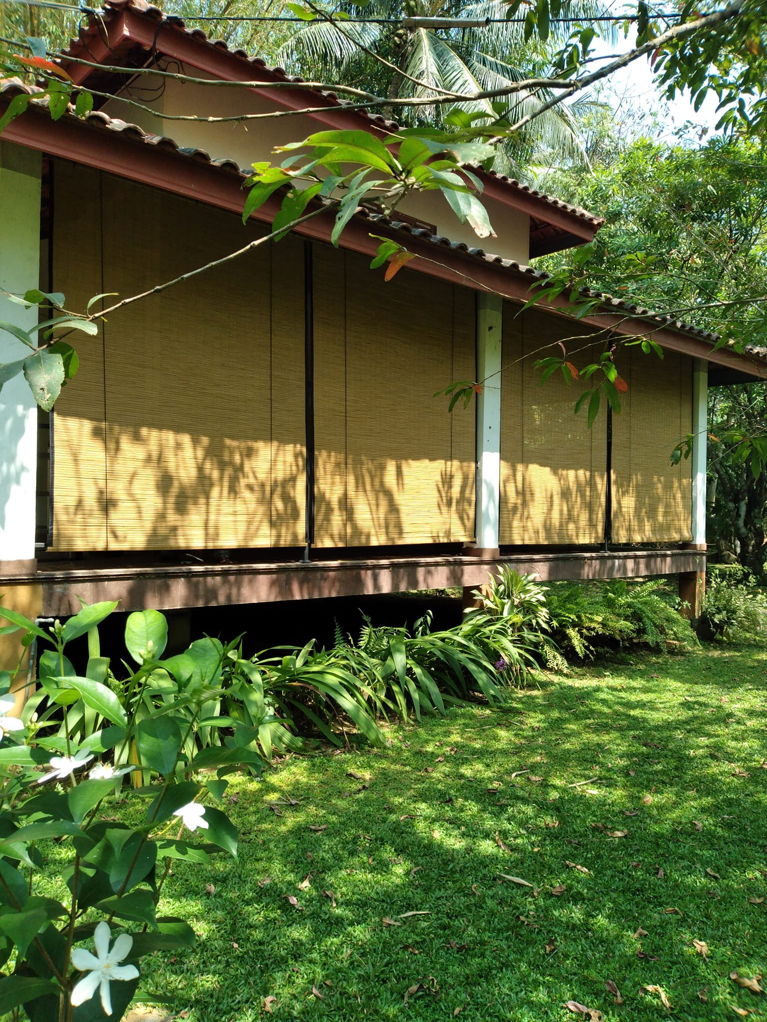 Other image 202509/bamboo-shades-for-sale-in-matara-sri-lanka-wedabima-103266bfc0.jpg