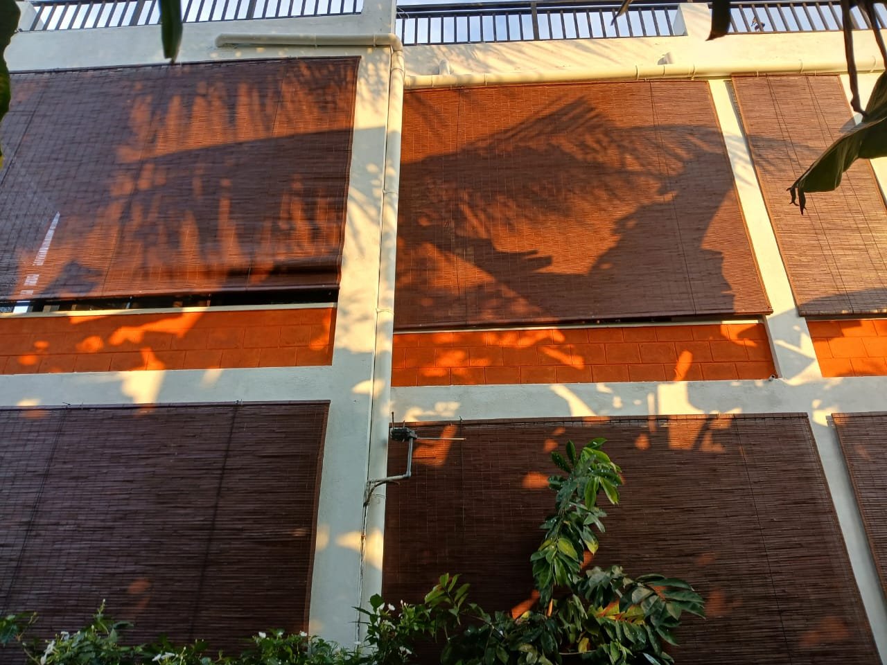 Other image 202509/bata-palali-for-sale-in-jaffna-wedabima-dac6d05cc8.jpeg