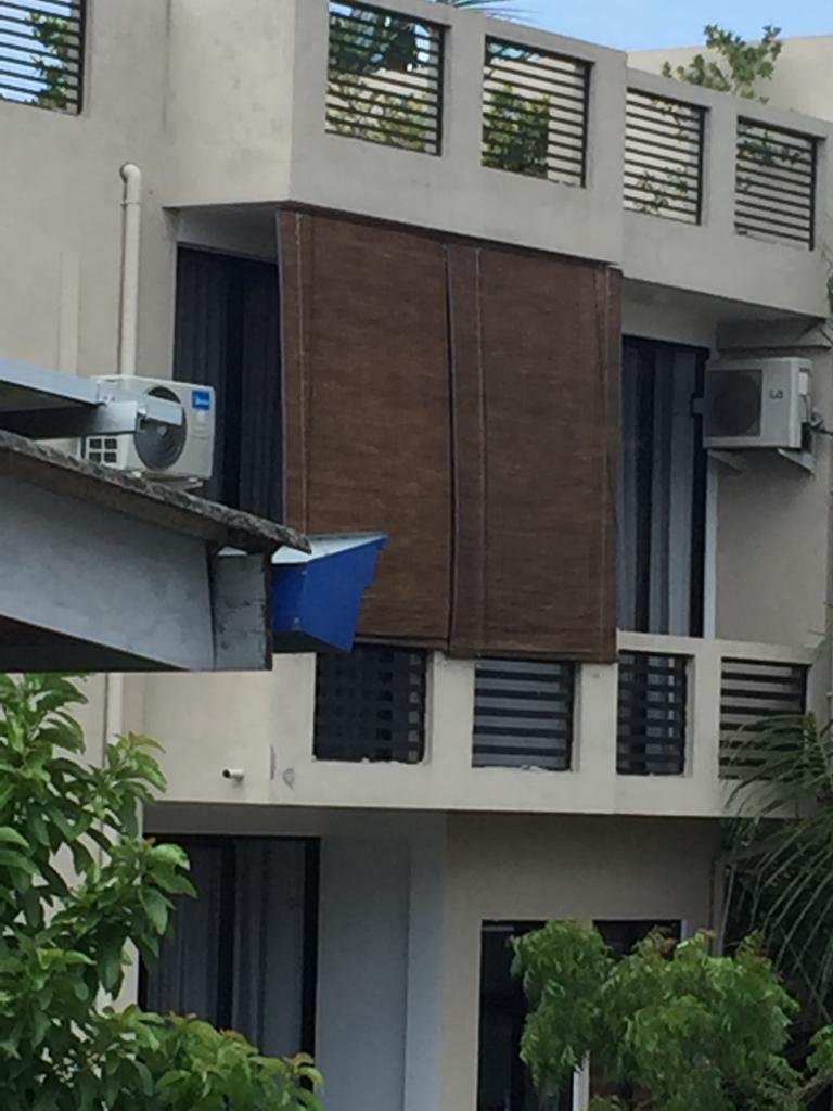 Other image 202509/bata-palali-in-sri-lanka-wedabima-2db68c1f82.jpeg