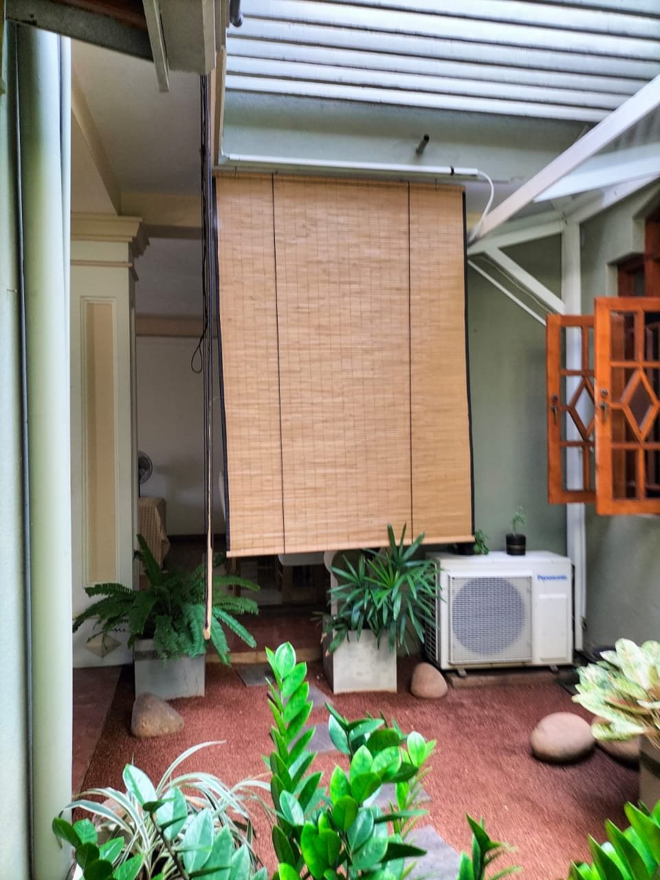 Other image 202509/bata-palali-in-sri-lanka-wedabima-f0a1a088a0.jpeg