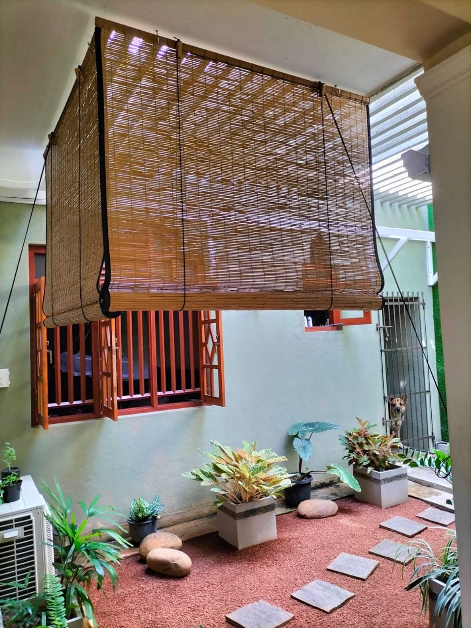 Other image 202509/bata-palali-price-in-colombo-wedabima-0e000a2634.jpeg