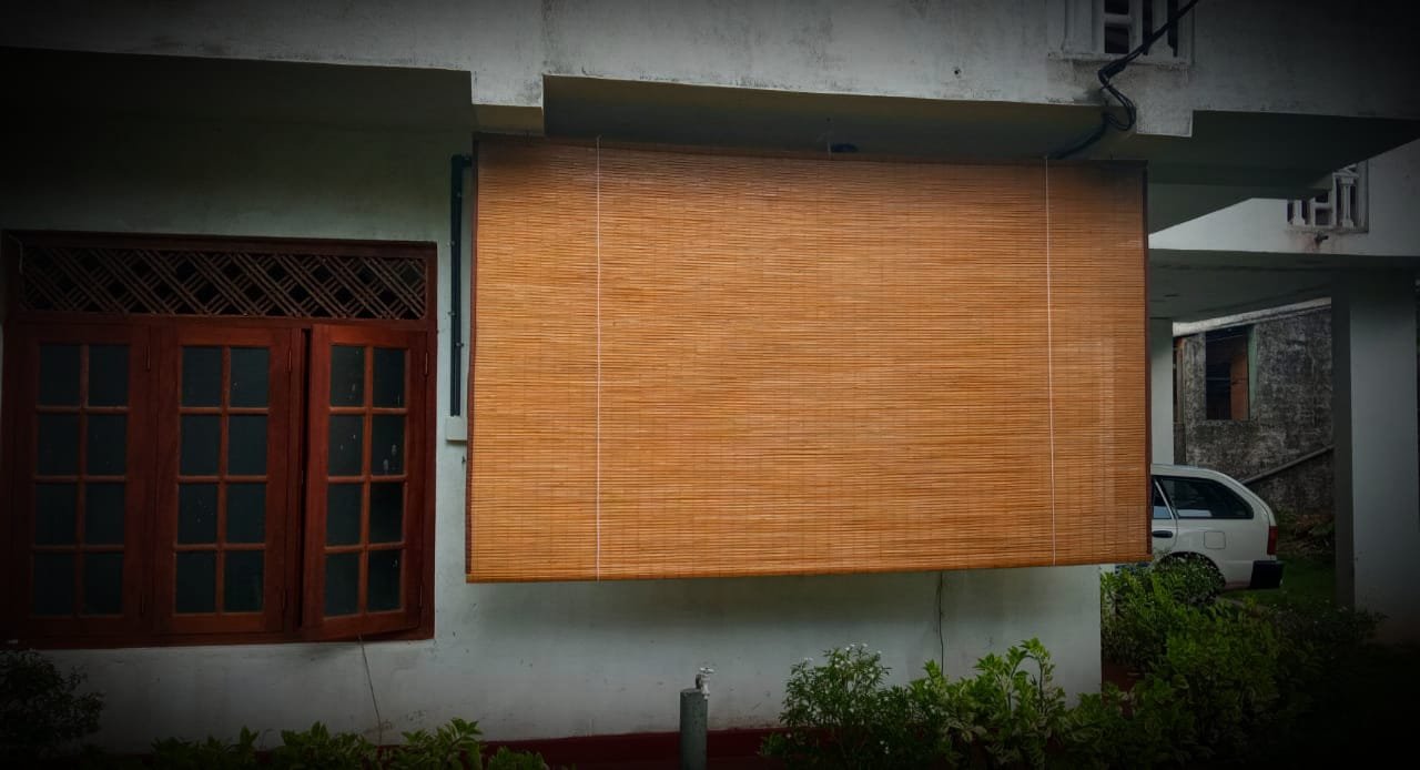 Other image 202509/bata-palali-price-in-colombo-wedabima-c509082eab.jpeg