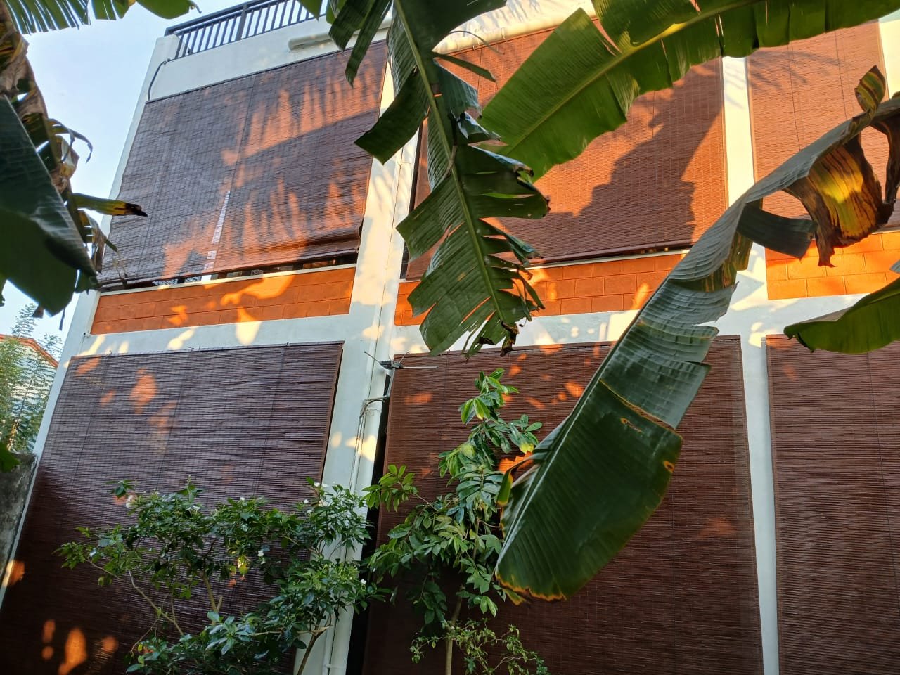 Other image 202509/batapalali-invention-wedabima-490007497f.jpeg