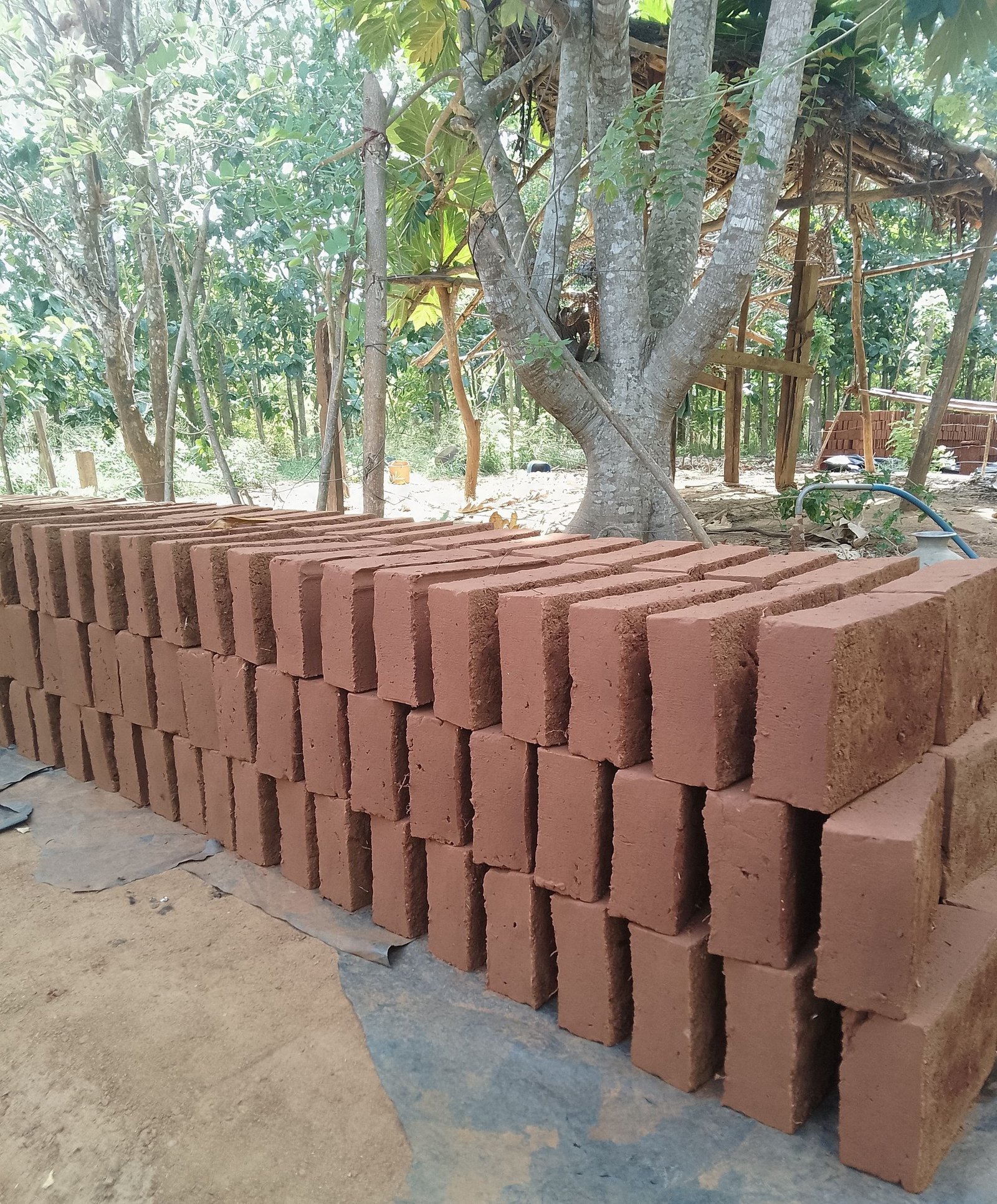 Other image 202509/gadol-prices-in-ukuwela-wedabima-f7ddb69dc8.jpg