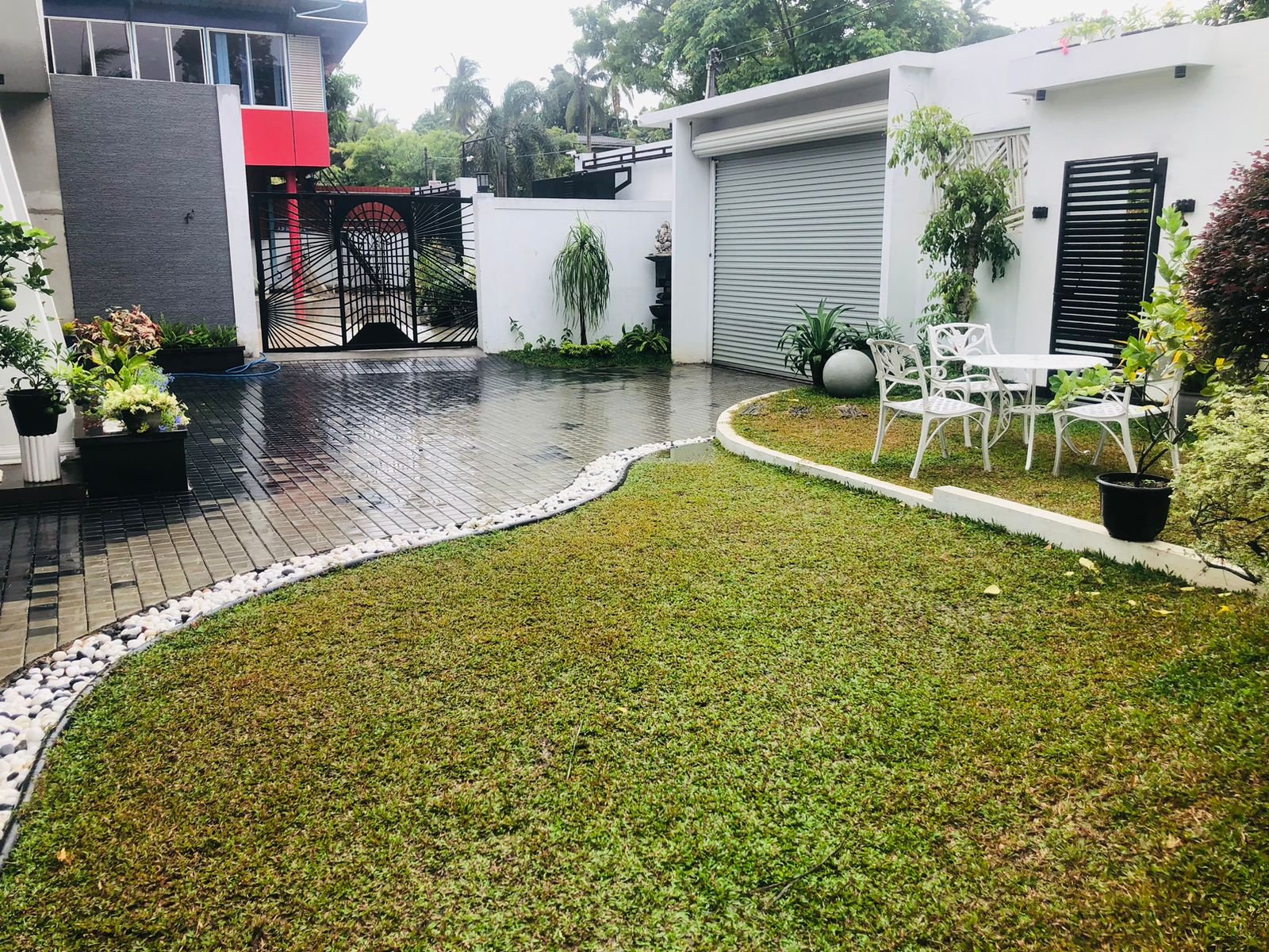 Other image 202509/malaysian-grass-price-pannipitiya-wedabima-f7b4c9f0cb.jpeg