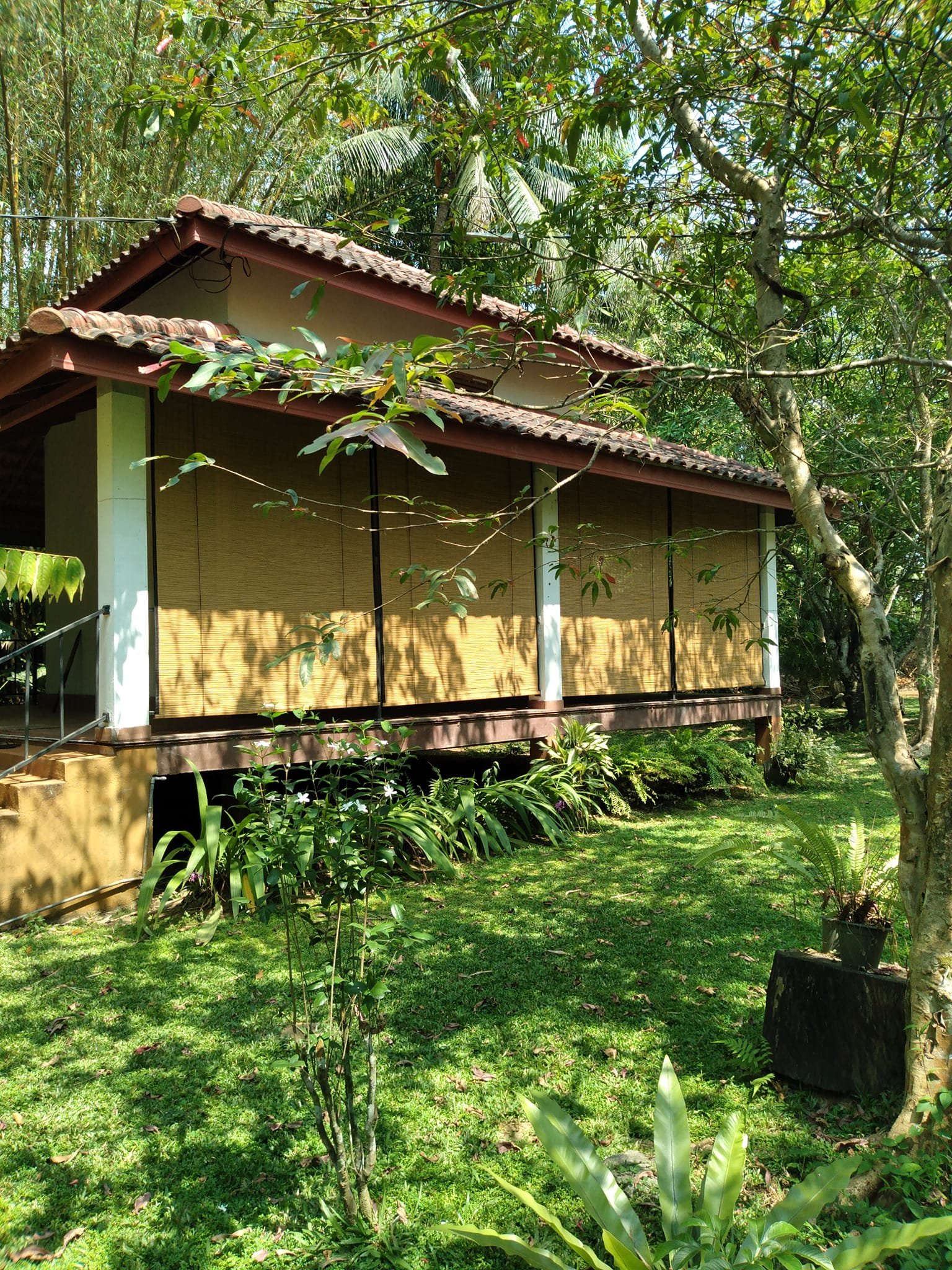 Other image 202509/natural-bamboo-roll-up-window-blinds-nuwara-eliya-wedabima-c7fbc7e791.jpg