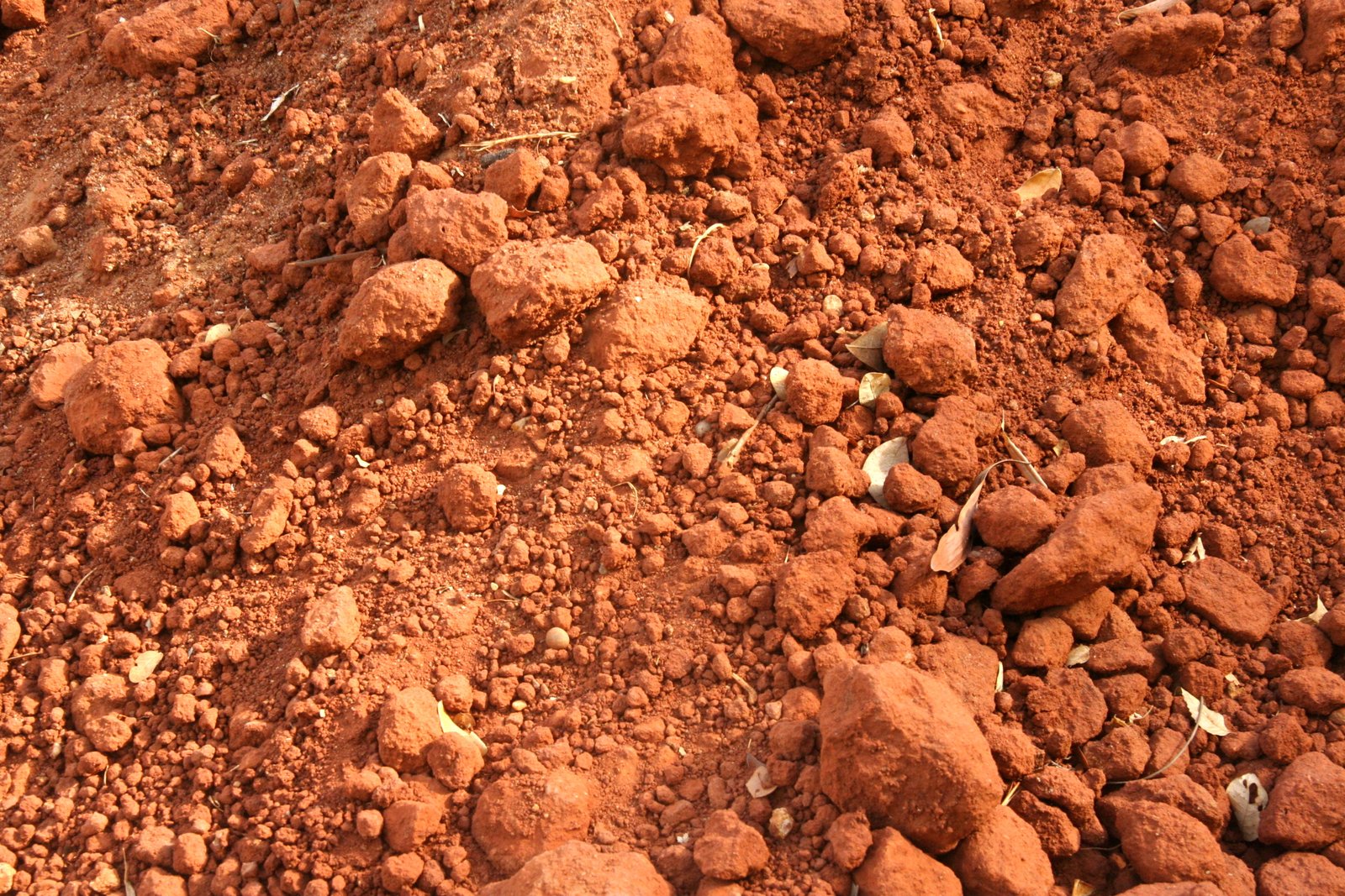 Other image 202509/red-soil-suppliers-price-in-maharagama-wedabima-1f9b2396bf.jpeg