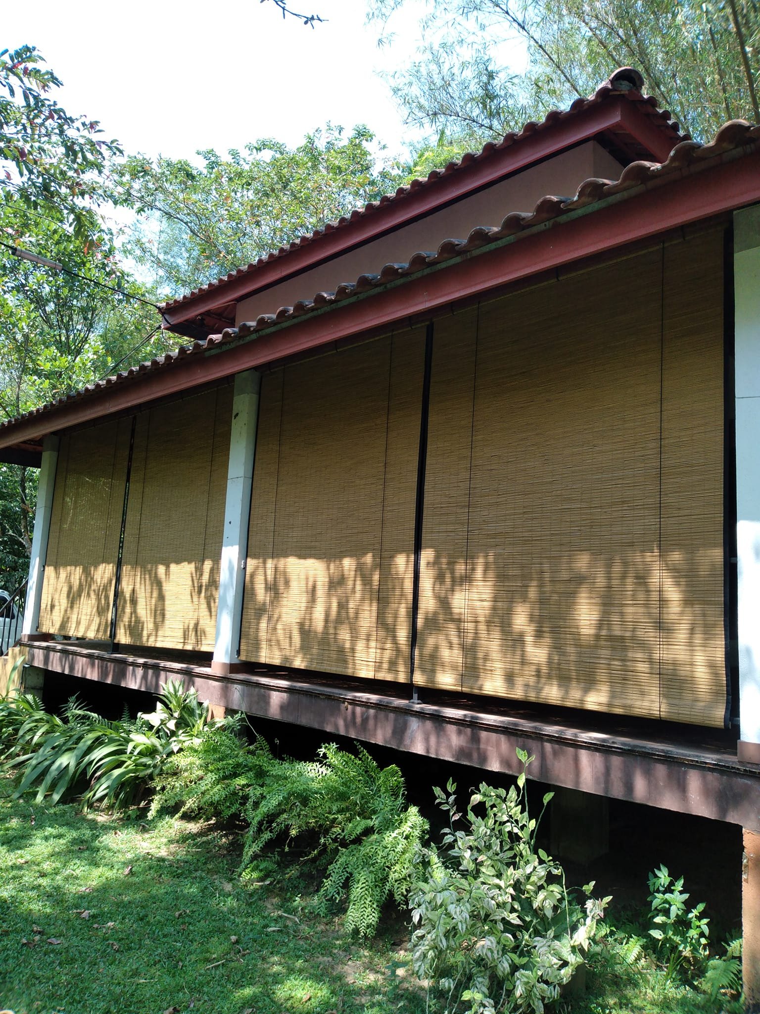 Other image 202509/roller-bamboo-blinds-price-polonnaruwa-wedabima-00f43142e9.jpg