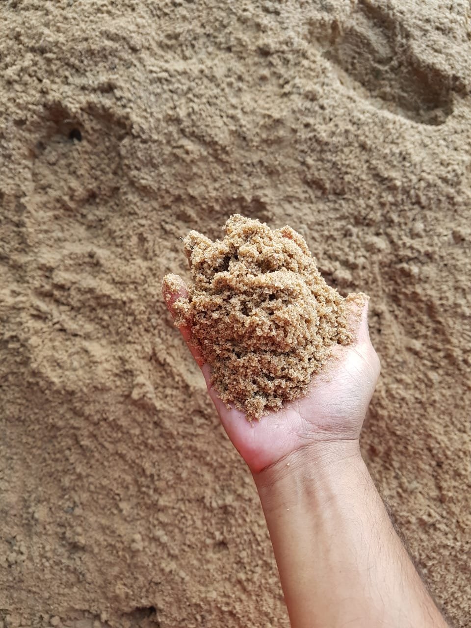 Other image 202509/sand-price-in-matale-area-wedabima-46af6c7412.jpeg