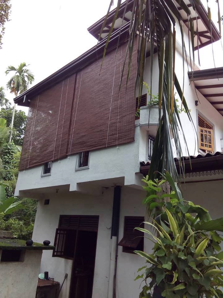 Other image 202510/bata-palali-in-galle-wedabima-b3b35d5bc7.jpg