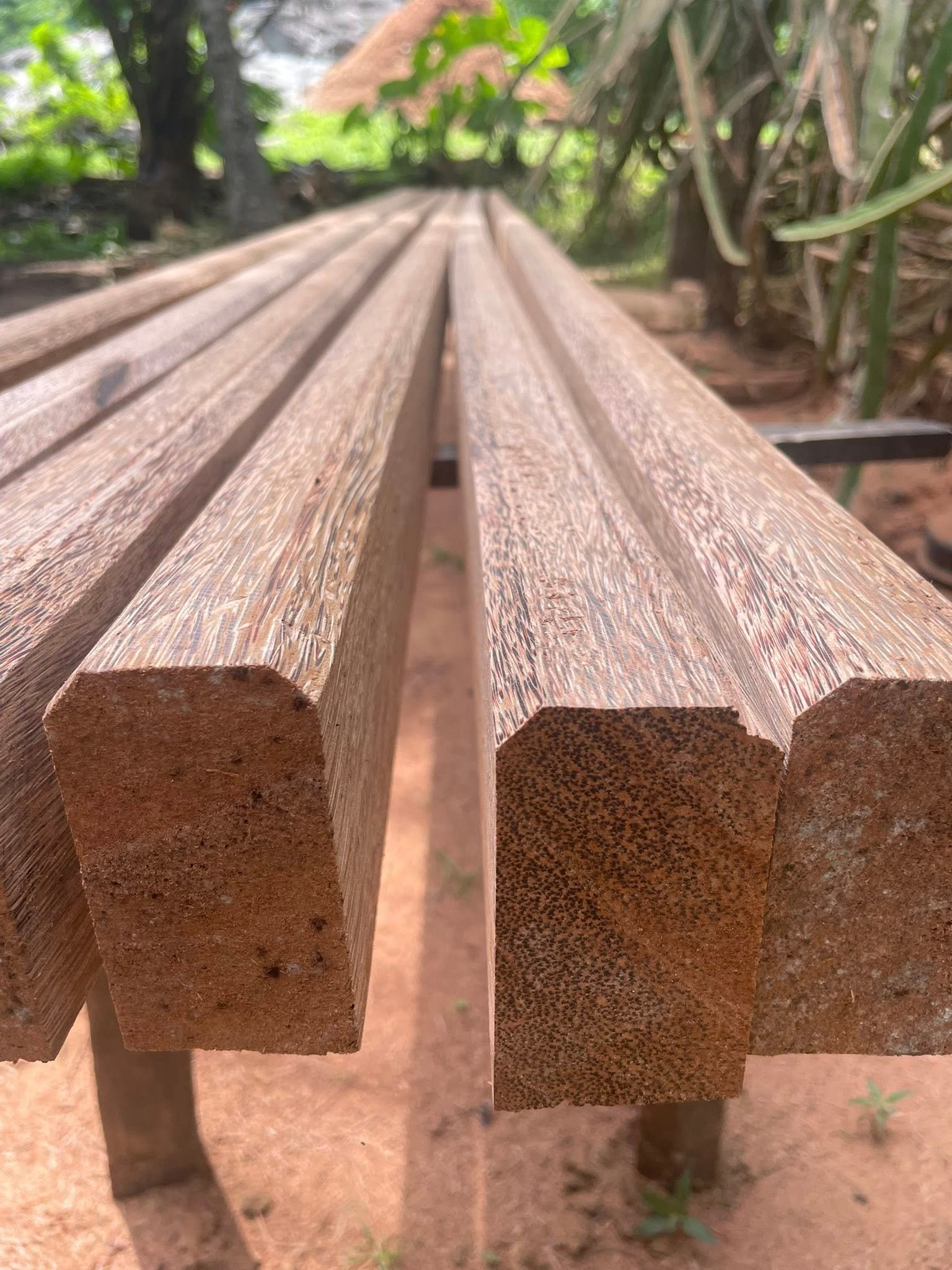 Other image 202510/coconut-timber-price-in-narammala-wedabima-aa47f72925.jpg