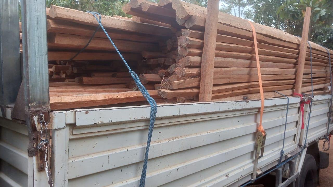 Other image 202510/coconut-timber-price-in-narammala-wedabima-f363d4e576.jpeg