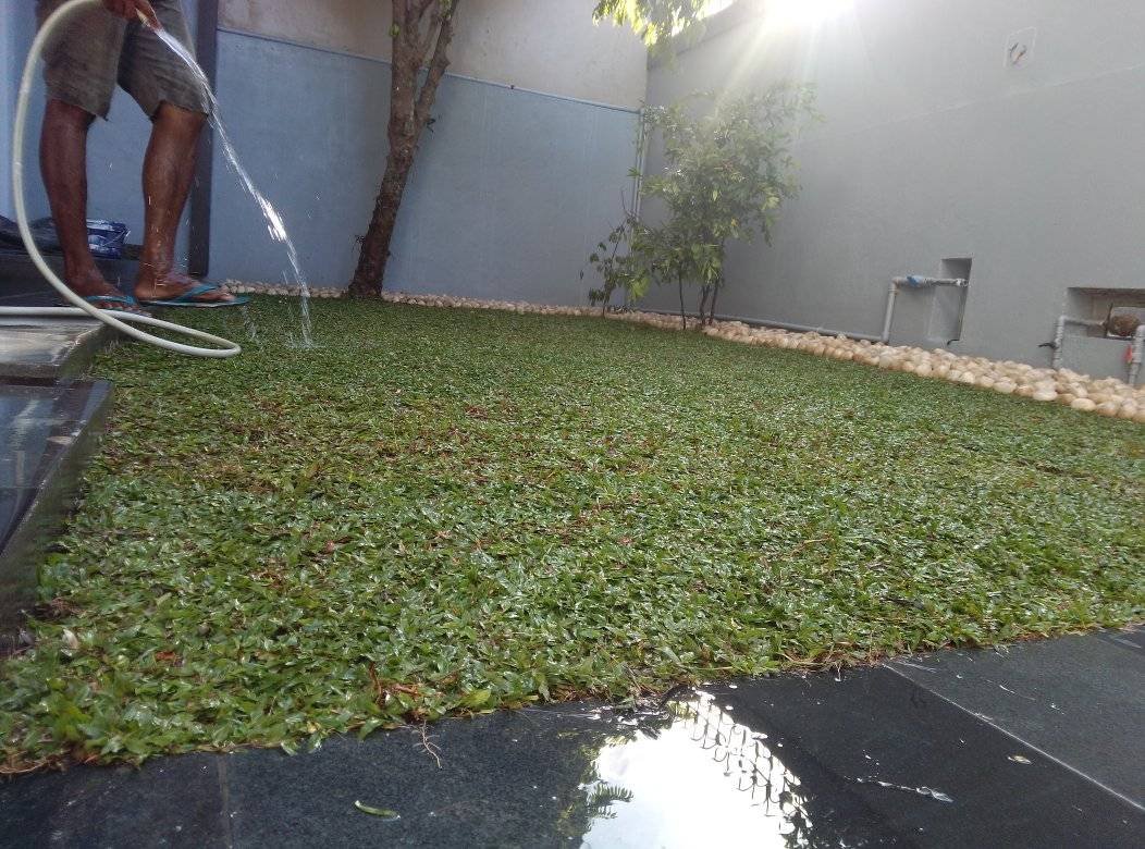 Other image 202510/landscaping-companies-in-kotte-wedabima-413181a45b.jpg