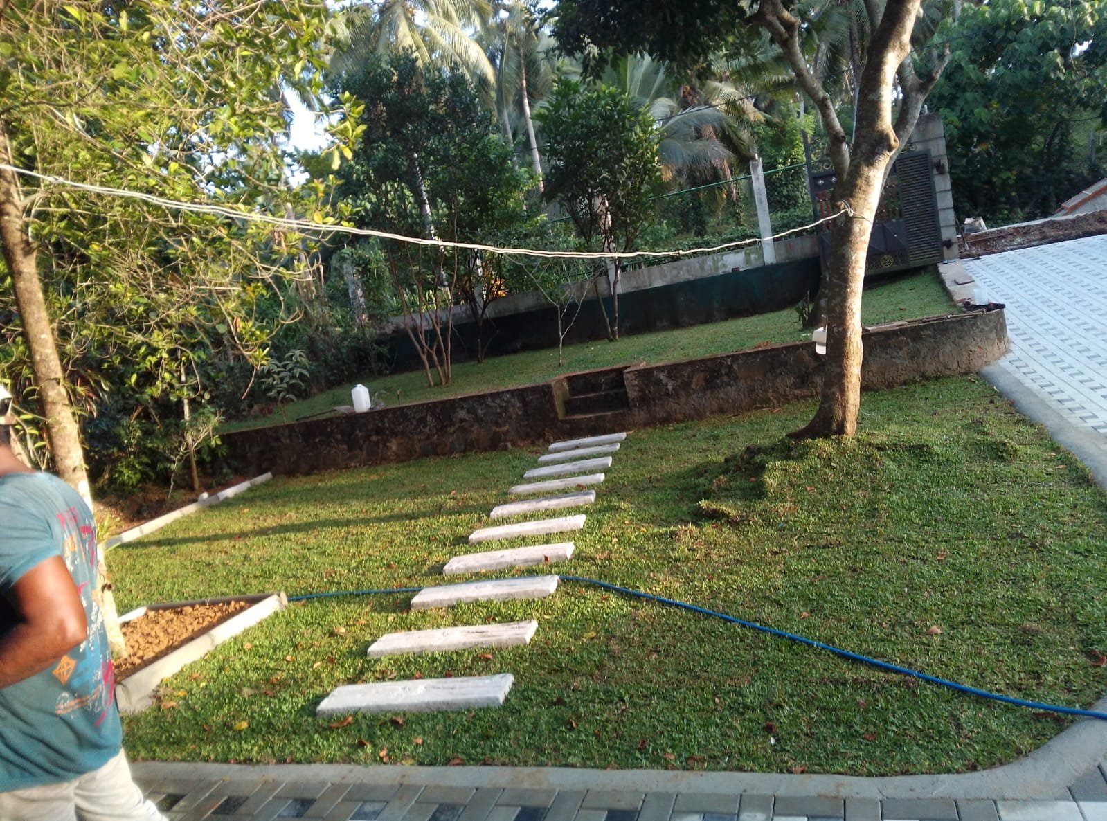 Other image 202510/malaysian-grass-price-in-colombo-wedabima-b6ab180d42.jpeg