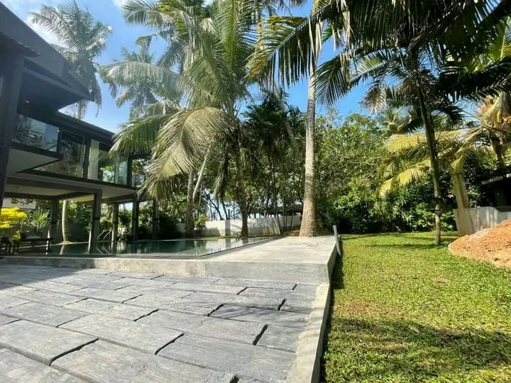 Other image 202510/malaysian-grass-supplier-in-sri-lanka-wedabima-3e9e71f3fb.jpeg