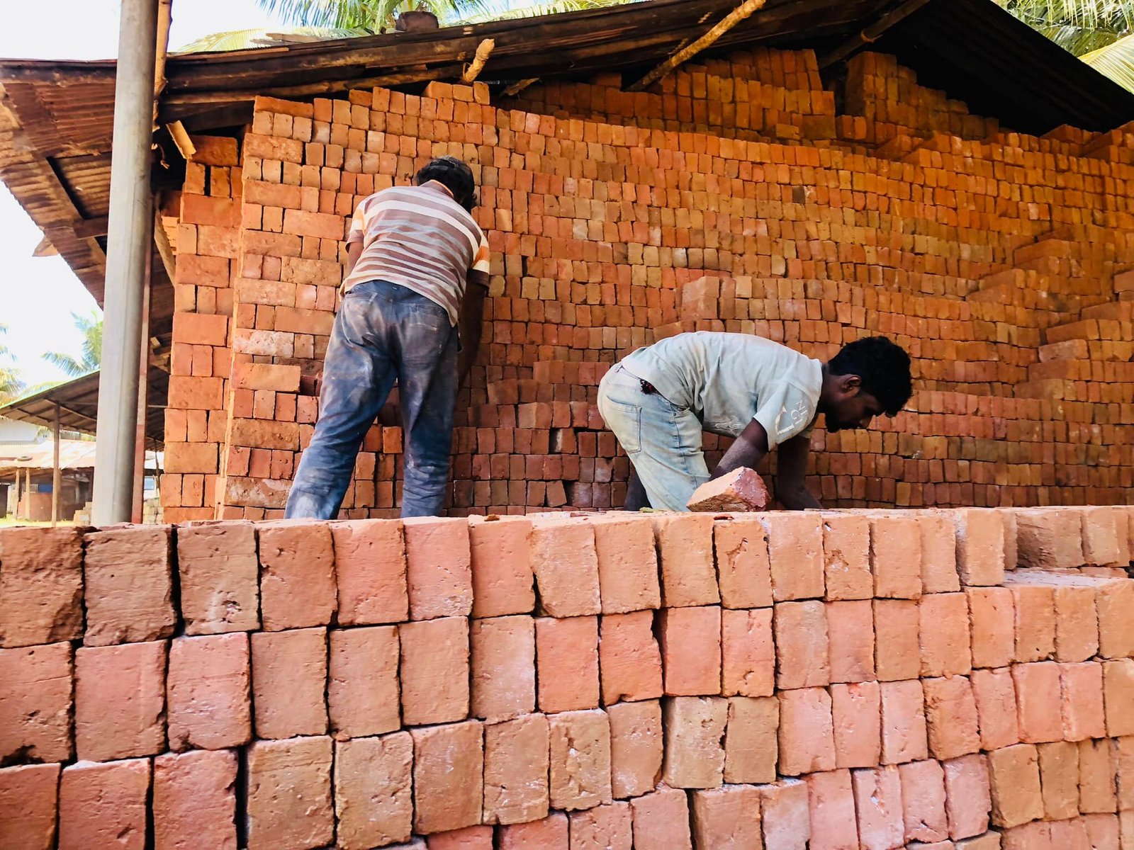 Other image 202510/moda-gadol-size-in-badulla-wedabima-9f01aacbd3.jpg