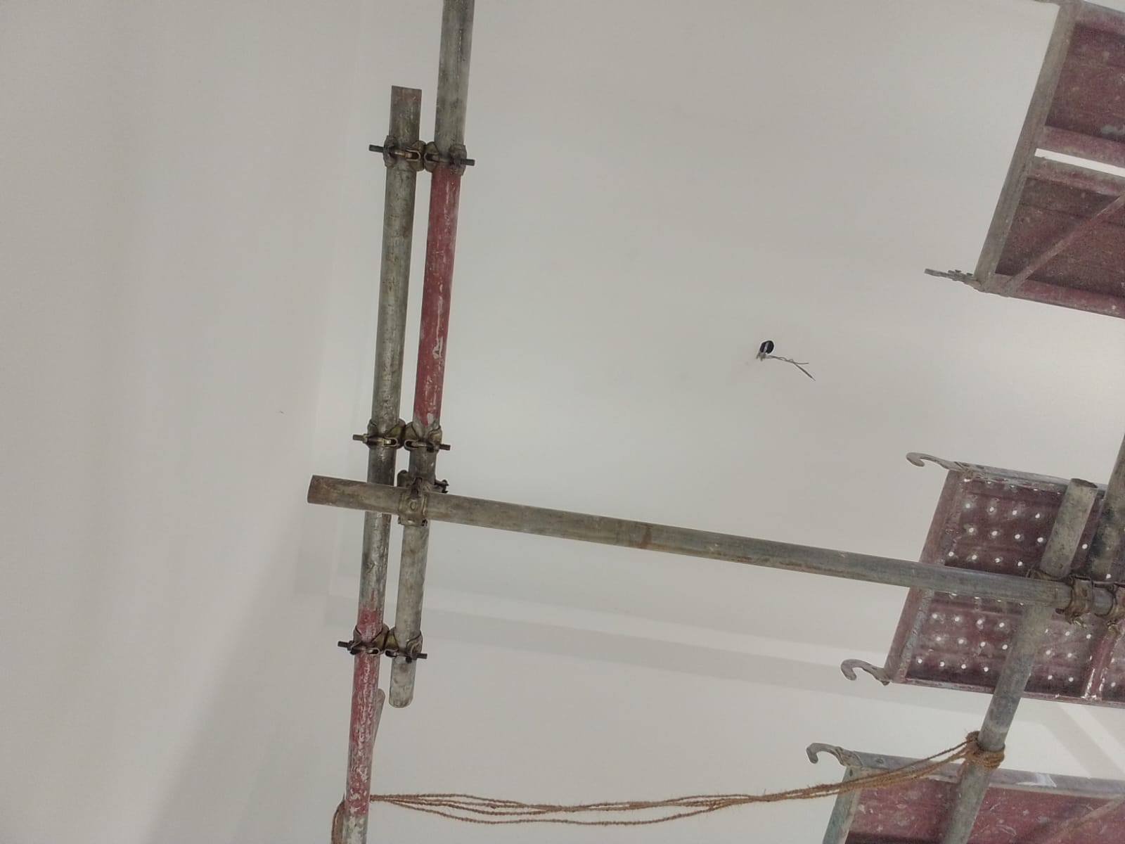 Other image 202510/putty-painting-on-wall-contractors-galle-wedabima-4aa0f857d7.jpg