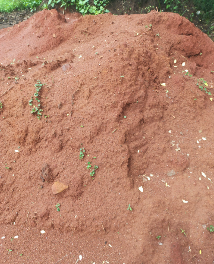 Other image 202510/raw-materials-suppliers-in-mihintale-wedabima-6034f9ff68.png