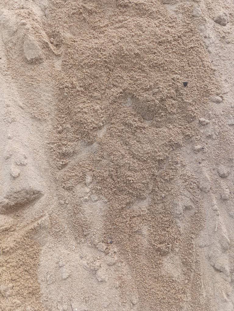 Other image 202510/sand-price-in-gampaha-wedabima-bcb4d46a3a.jpg