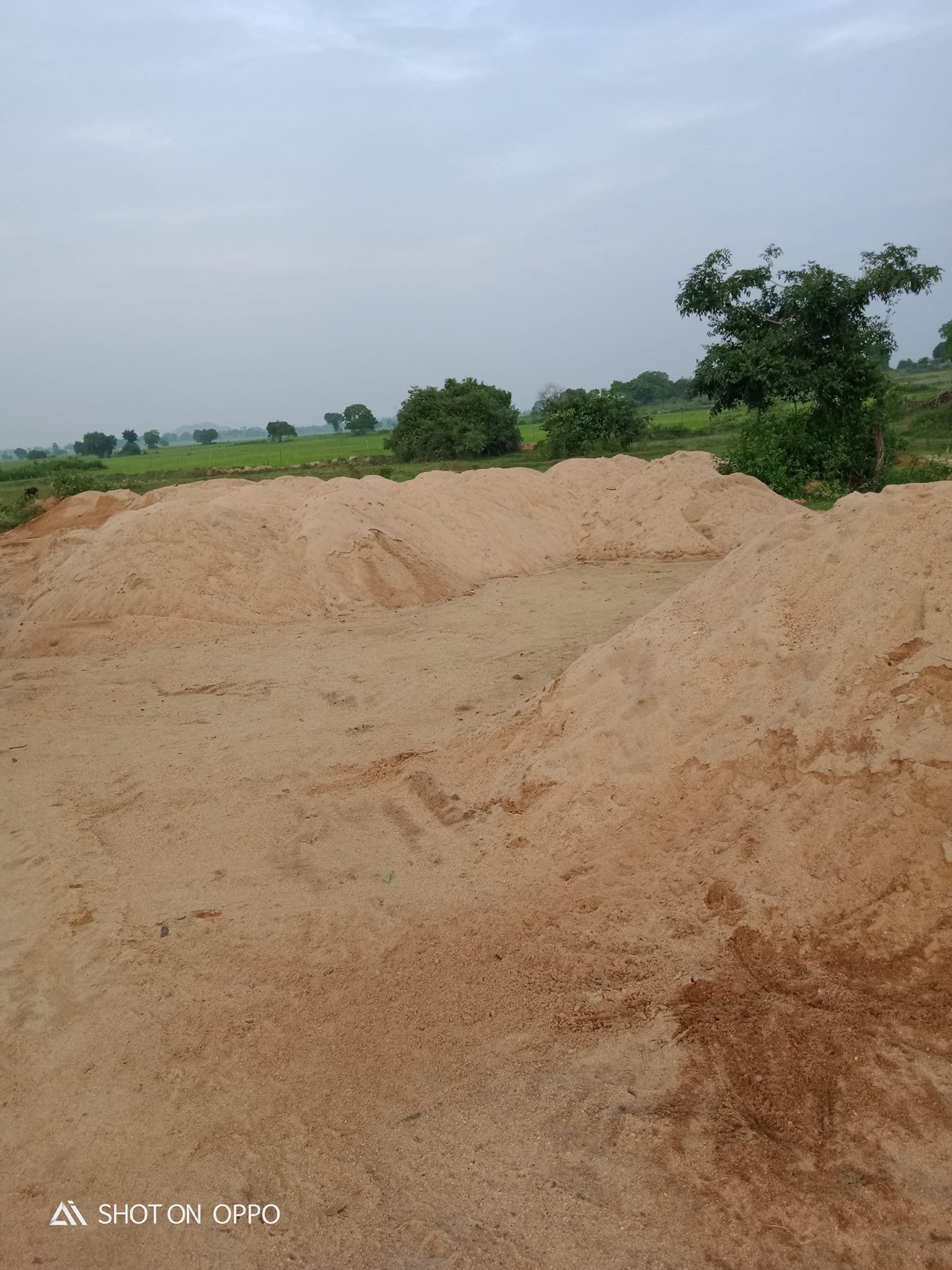 Other image 202510/sand-suppliers-in-gampaha-wedabima-081f75a275.jpg