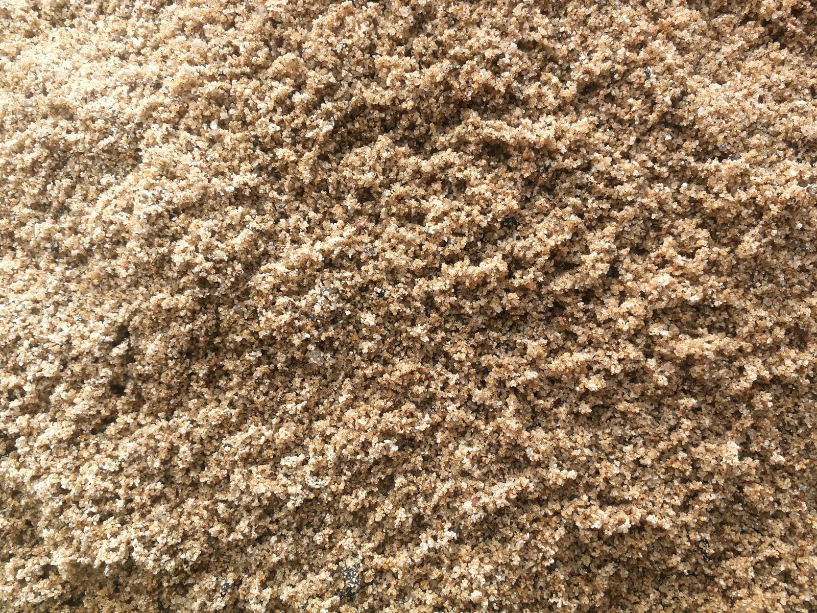 Other image 202510/sand-transport-price-in-anuradhapura-wedabima-bf7a58c80d.jpg