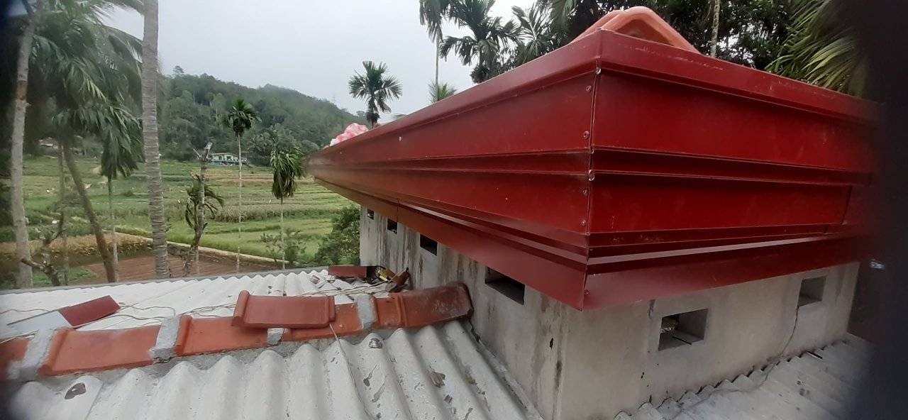 Other image 202510/wahi-pili-price-in-bandarawela-wedabima-a953516f6f.jpg