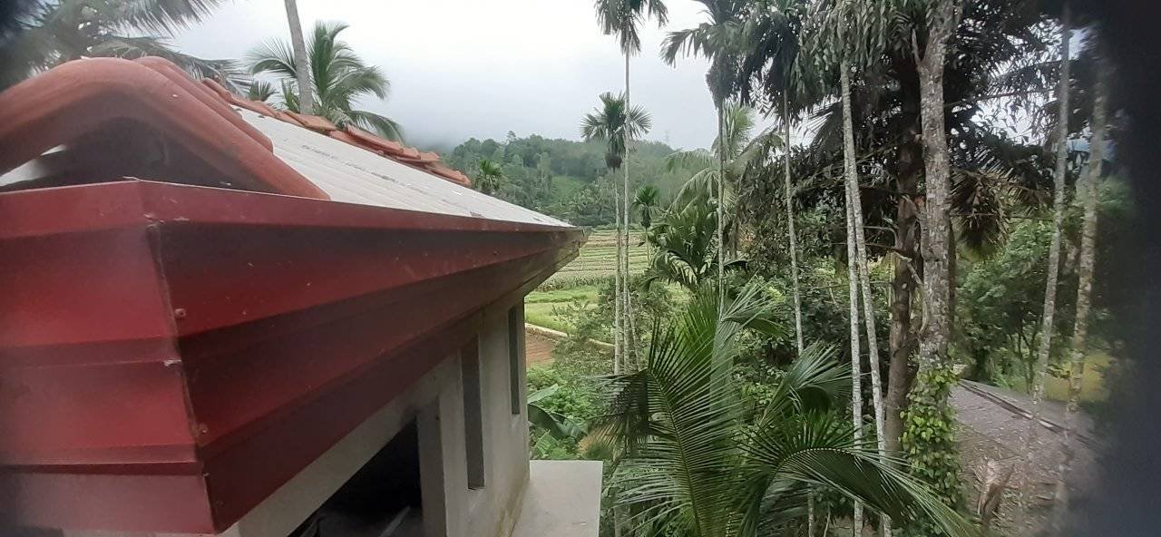 Other image 202510/wahi-pili-price-in-bandarawela-wedabima-eff207900c.jpg