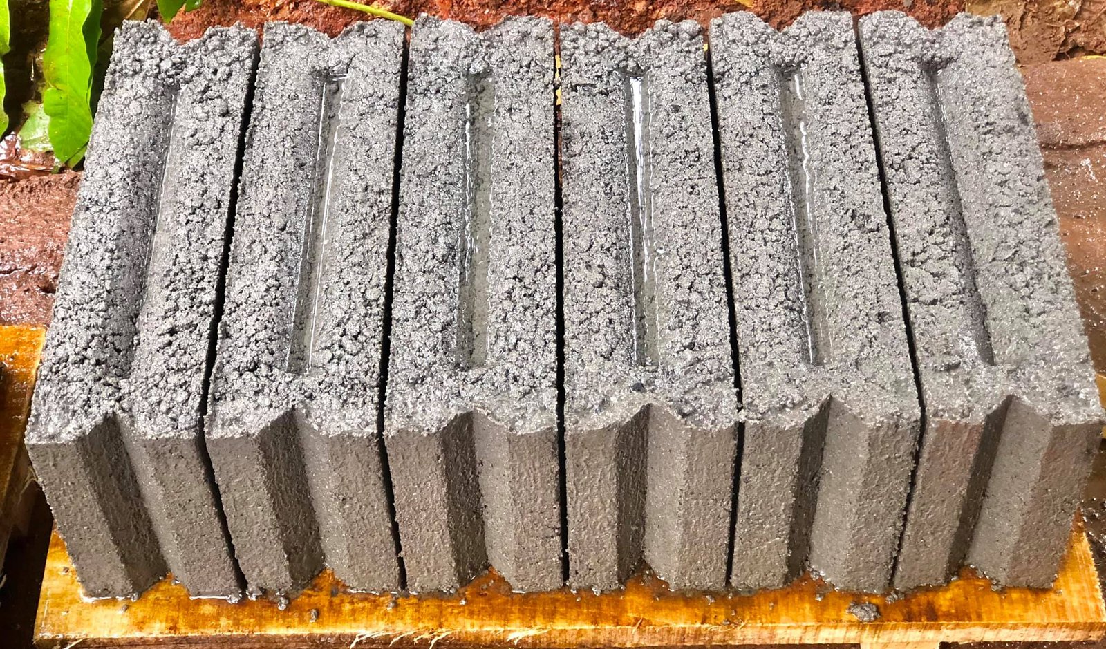 Other image 202511/quality-cement-block-gal-sale-in-nittambuwa-wedabima-c46d446903.jpg