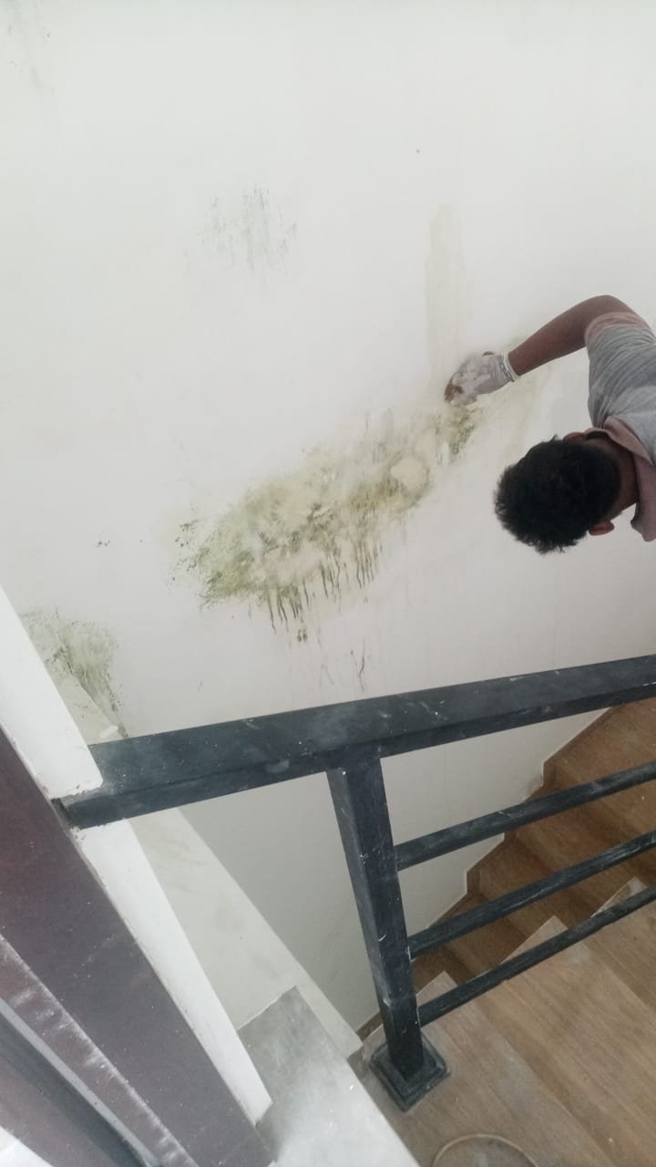 Other image 202601/painting-price-in-colombo-wedabima-2adb0d689b.jpeg