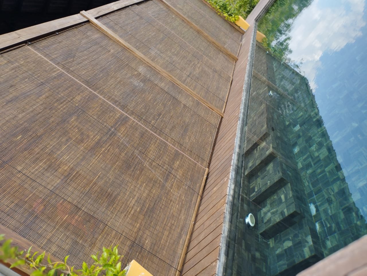 Other image 202602/bata-palali-in-sri-lanka-wedabima-6942282618.jpeg