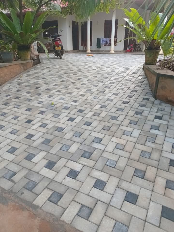 Other image 202602/decorative-interlock-paving-price-in-sri-lanka-wedabima-a5d8c909e3.jpeg