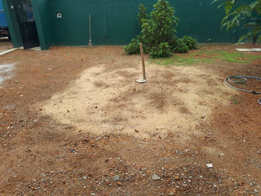 Other image 202602/dilan-interlock-paving-wedabima-f6ac1bbf37.jpg
