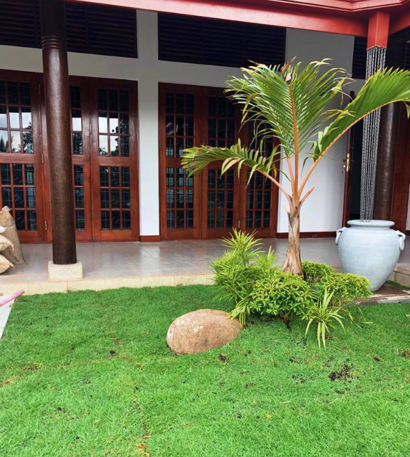 Other image 202602/landscaping-and-gardening-solutions-gohagoda-kandy-wedabima-8b61b94e7d.png