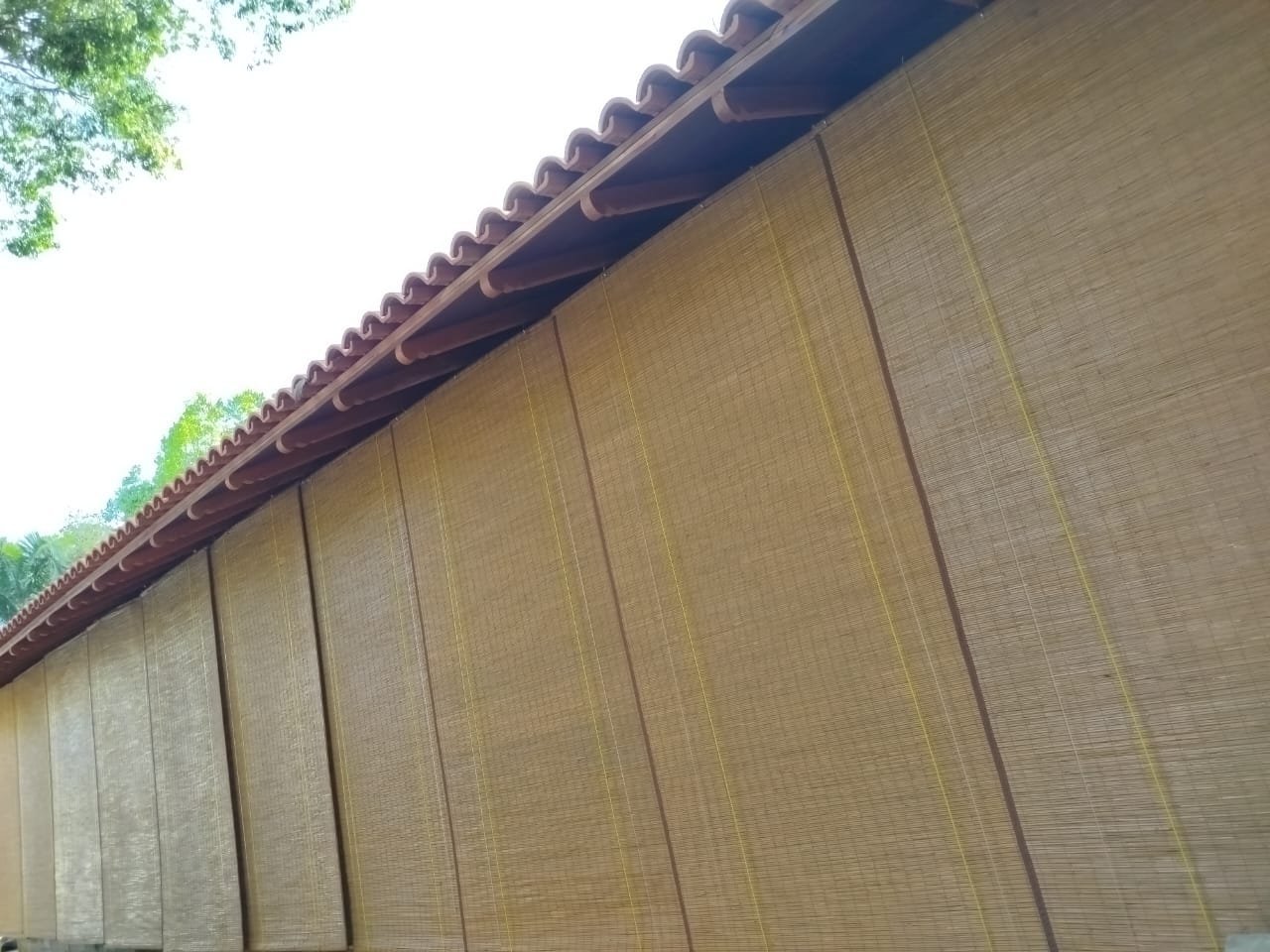 Other image 202604/bata-palali-curtain-sri-lanka-wedabima-268d5752c5.jpeg