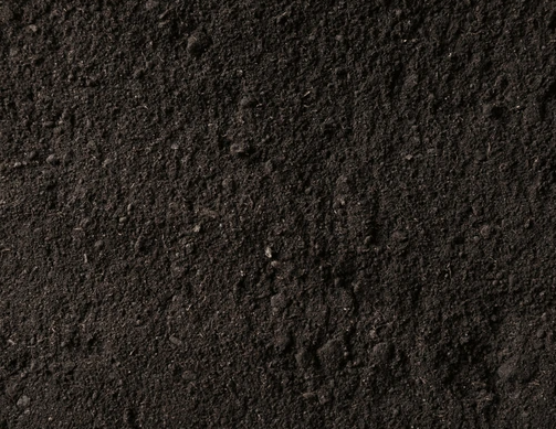 Other image 202606/black-soil-cube-price-in-kalubowila-wedabima-e20f62589c.png