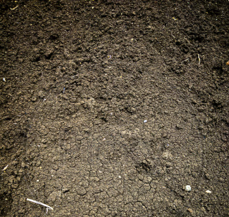 Other image 202606/kabok-soil-cube-price-in-colombo-wedabima-2c314c3f6f.png