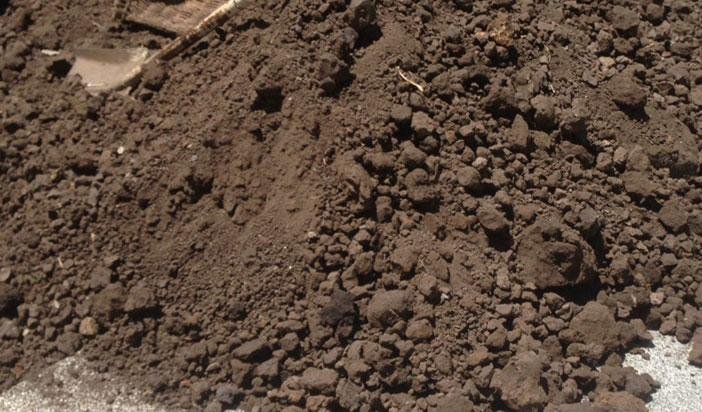 Other image 202606/kabok-soil-cube-price-in-colombo-wedabima-ff73929168.jpg