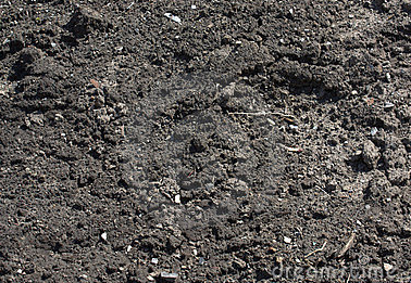 Other image 202606/kabok-soil-suppliers-in-dehiwala-wedabima-846b46292c.png