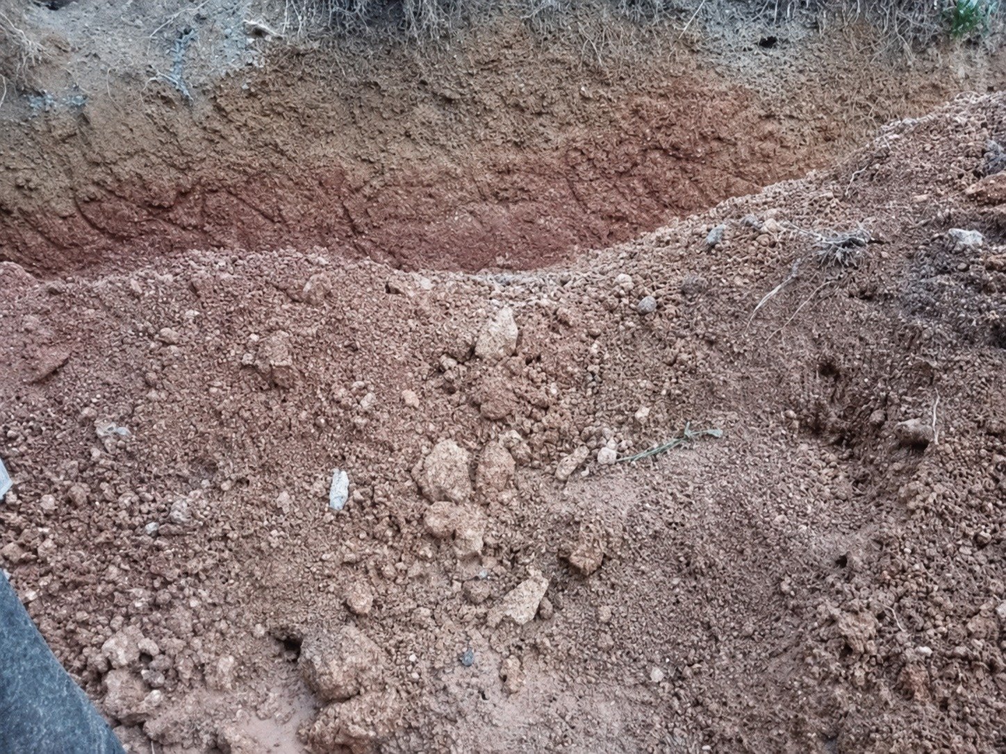 Other image 202606/soil-price-in-colombo-wedabima-5dca9bed43.jpeg