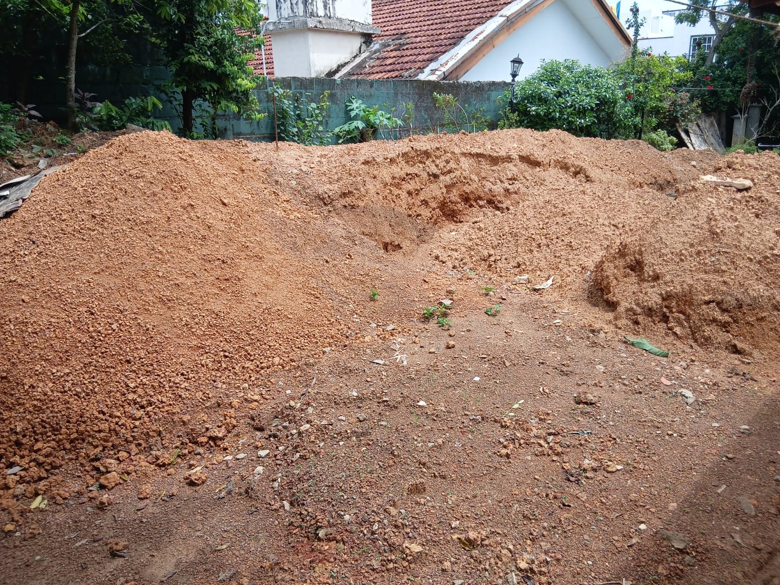 Other image 202606/soil-price-in-colombo-wedabima-698ea38613.jpeg