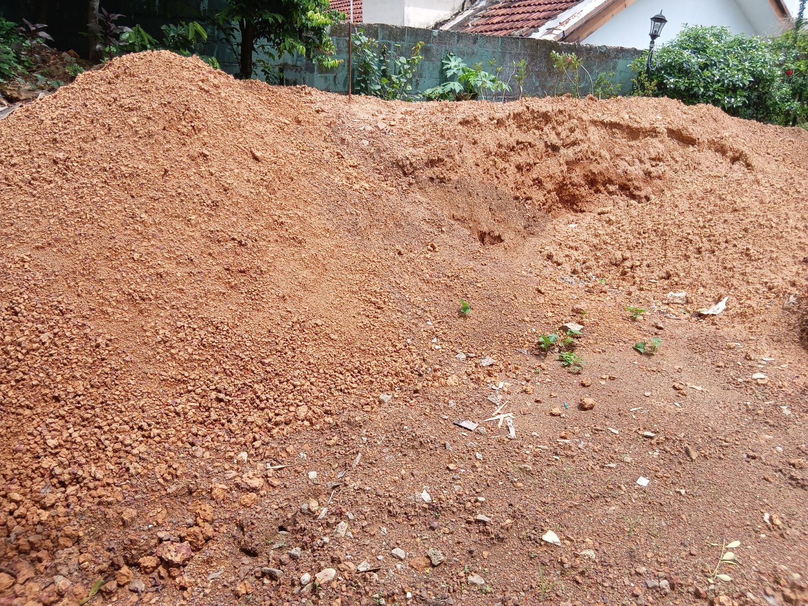 Other image 202606/soil-suppliers-in-kalubowila-wedabima-06518f3ed0.jpeg