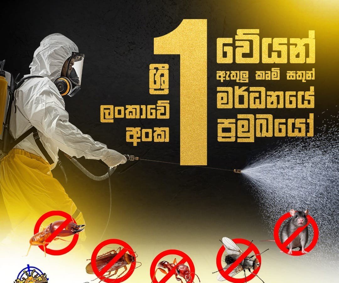 Other image 202608/low-cost-pest-control-best-price-in-kurunegala-wedabima-d95f612a8a.jpeg