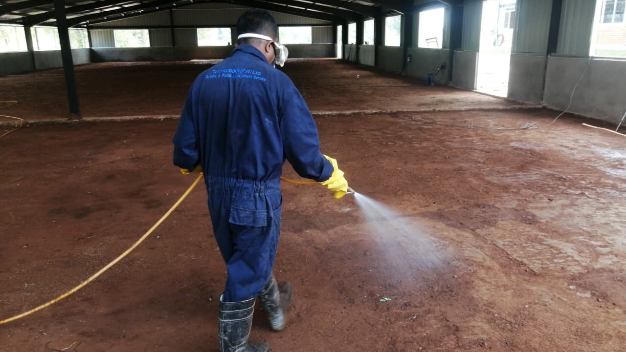 Other image 202608/pest-control-services-in-jaffna-colombo-sri-lanka-wedabima-71fec5be15.jpeg