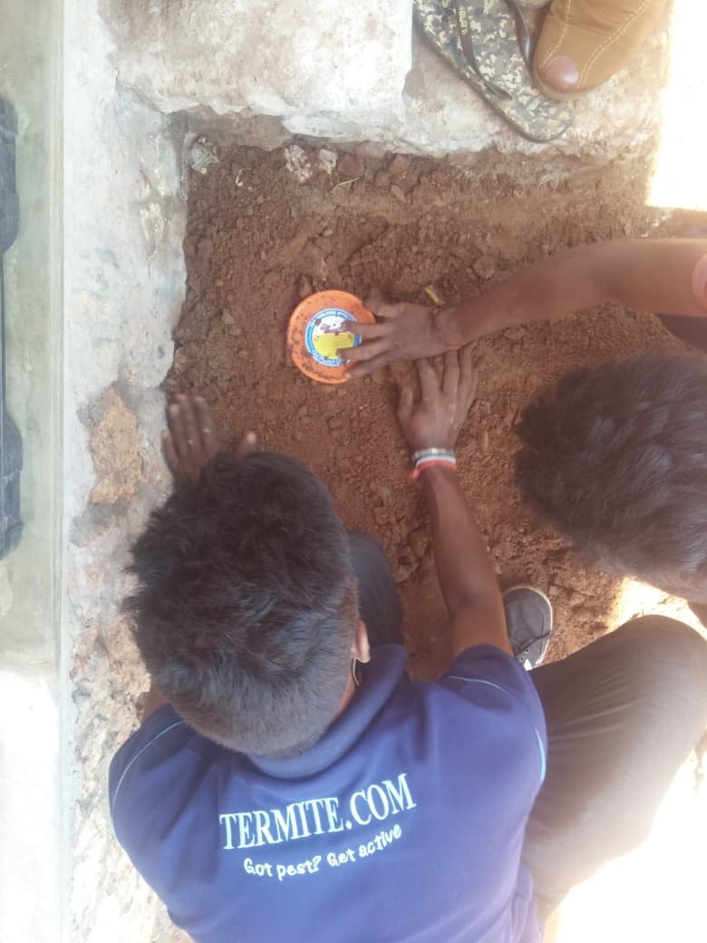 Other image 202608/pest-control-services-in-jaffna-colombo-sri-lanka-wedabima-b91c0f5aa1.jpeg
