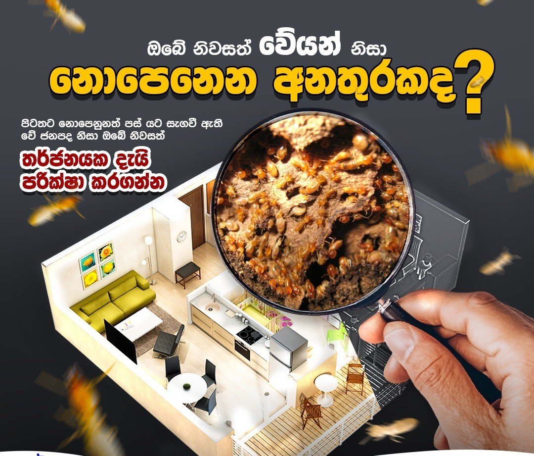 Other image 202608/termite-treatment-contractors-in-kuliyapitiya-wedabima-523af9e7a6.jpeg