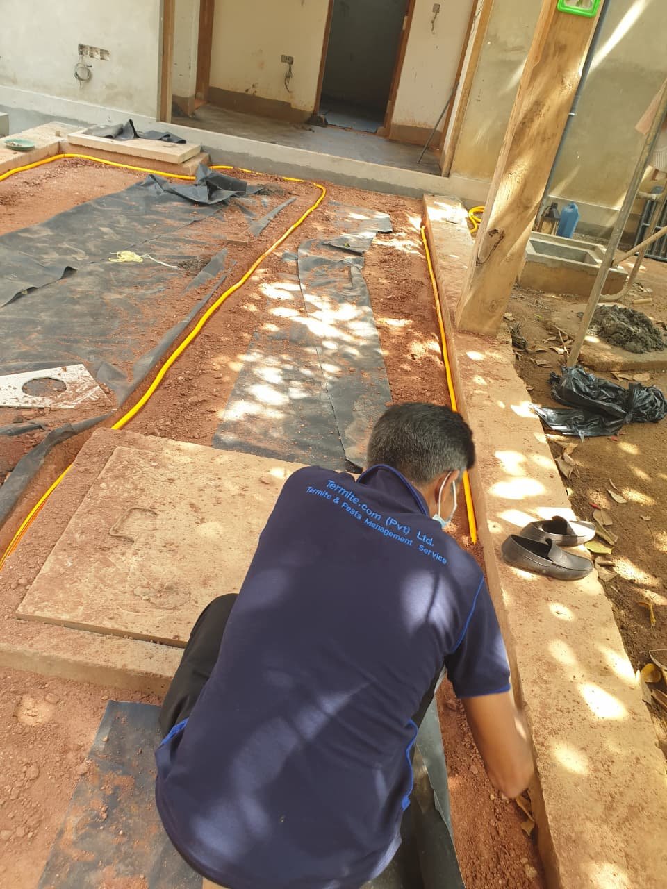 Other image 202608/termite-treatment-kurunegala-wedabima-65a9d17932.jpeg