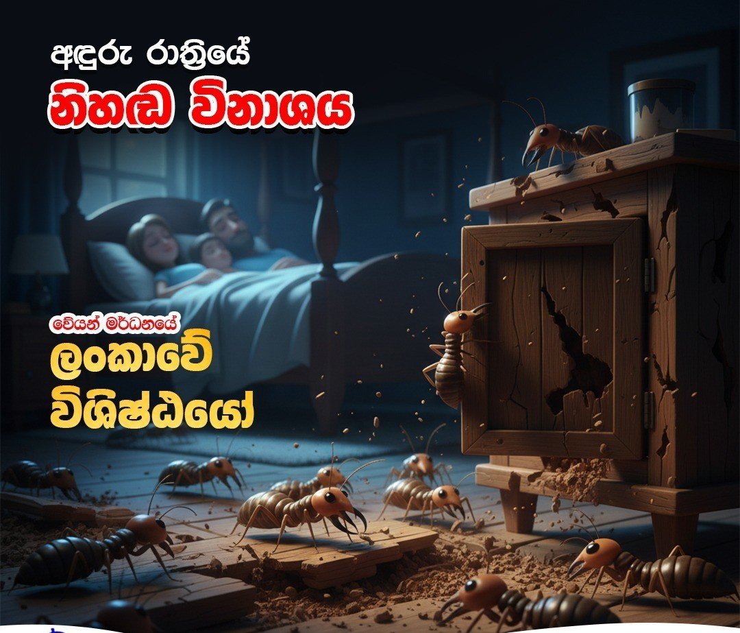 Other image 202608/termite-treatment-kurunegala-wedabima-831da35ae3.jpeg