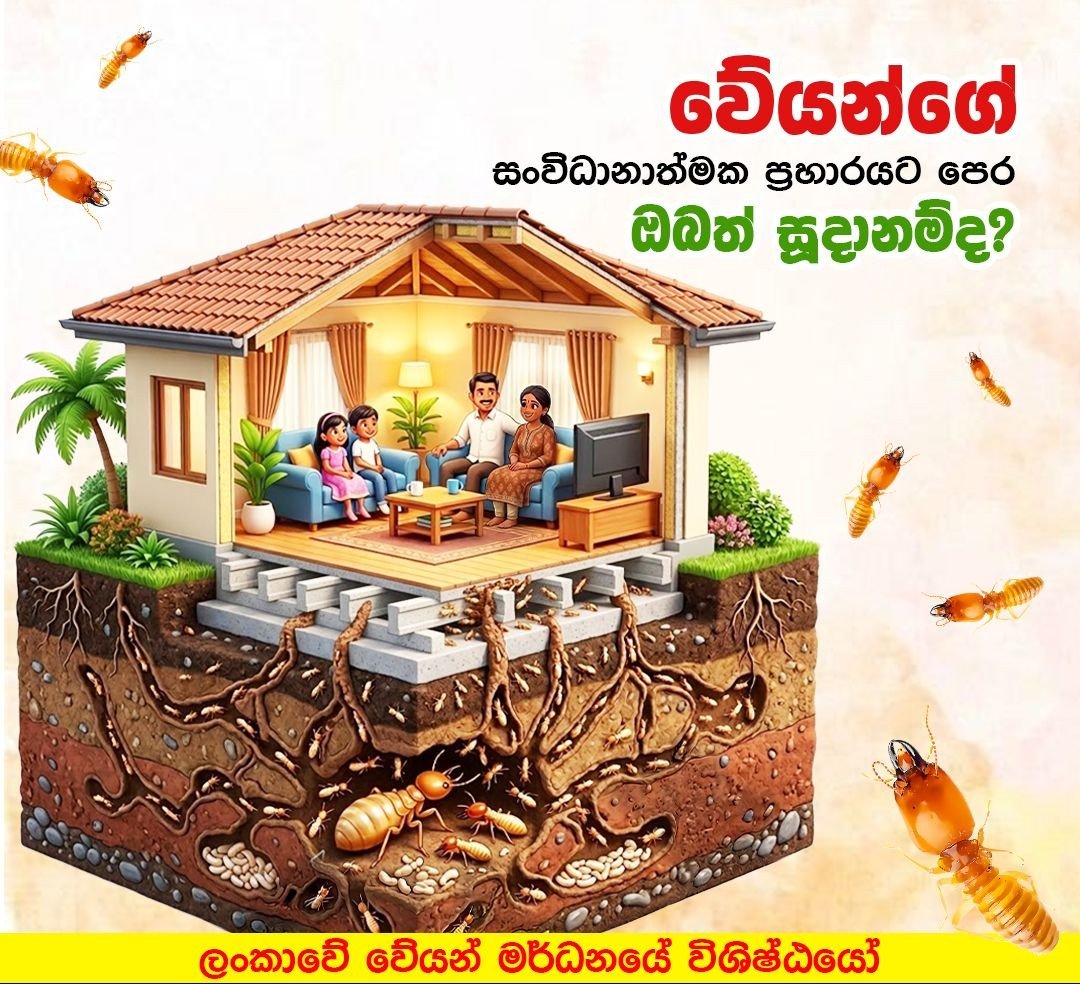 Other image 202608/termitecom-pvt-ltd-wedabima-acc9dcdae1.jpeg