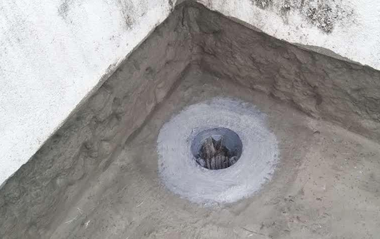 Other image 202608/waterproofing-services-in-colombo-wedabima-23a9b00366.png
