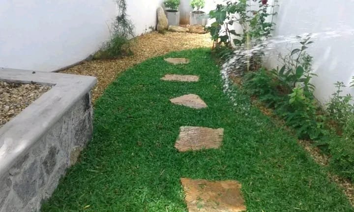 Other image 202609/garden-maintenance-services-in-kaduwela-wedabima-e64ddfe78e.jpeg